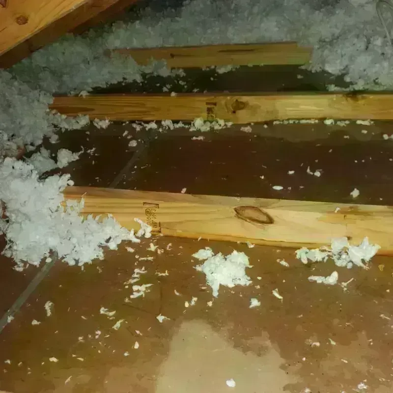 Attic Water Damage in Medical Lake, WA