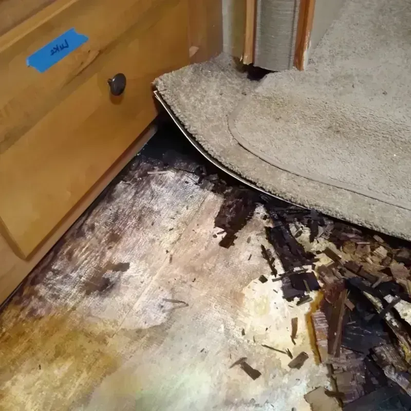 Wood Floor Water Damage in Medical Lake, WA